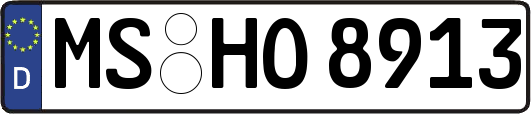 MS-HO8913