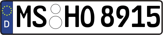 MS-HO8915