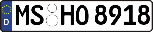 MS-HO8918