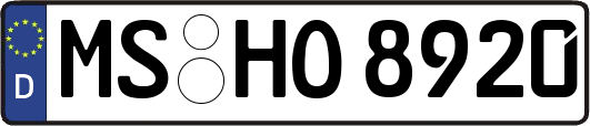 MS-HO8920