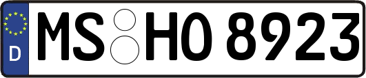 MS-HO8923