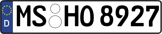 MS-HO8927