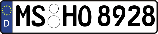 MS-HO8928