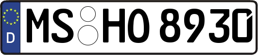 MS-HO8930