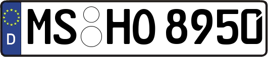 MS-HO8950