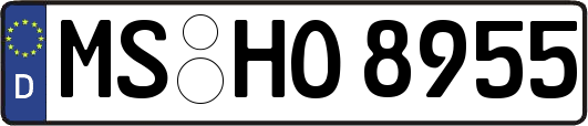 MS-HO8955