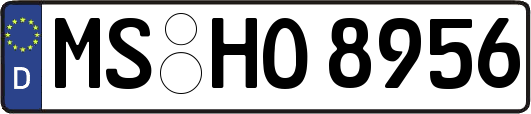 MS-HO8956