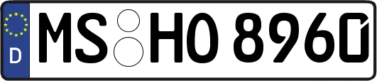 MS-HO8960