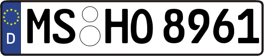 MS-HO8961