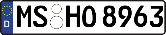 MS-HO8963