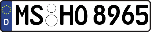 MS-HO8965