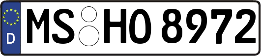 MS-HO8972