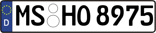 MS-HO8975