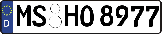 MS-HO8977