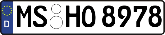 MS-HO8978