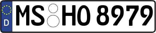 MS-HO8979