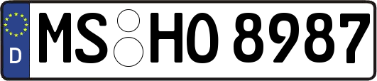 MS-HO8987