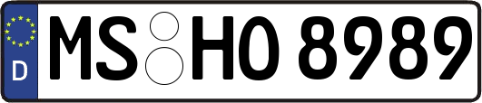 MS-HO8989