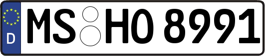 MS-HO8991