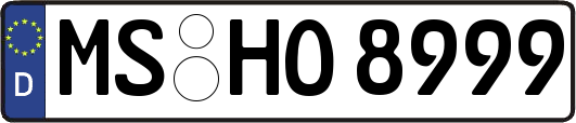 MS-HO8999