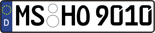 MS-HO9010