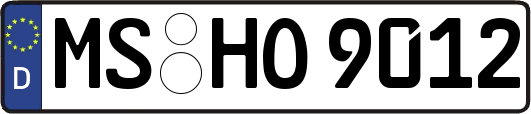 MS-HO9012