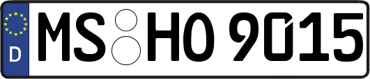 MS-HO9015