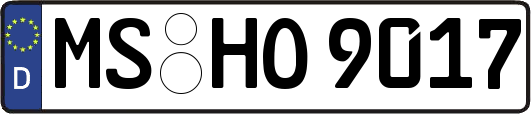 MS-HO9017