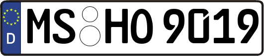 MS-HO9019