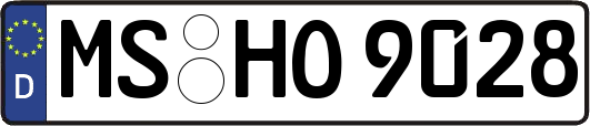 MS-HO9028
