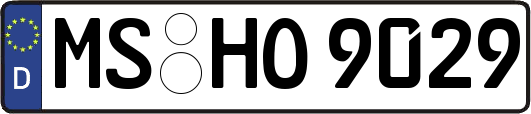 MS-HO9029