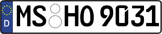 MS-HO9031