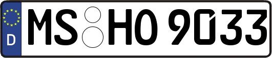 MS-HO9033