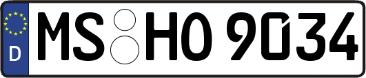 MS-HO9034