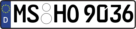 MS-HO9036