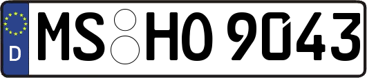 MS-HO9043