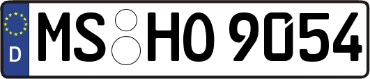 MS-HO9054