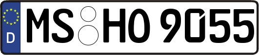 MS-HO9055