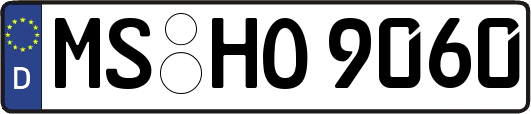 MS-HO9060