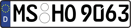 MS-HO9063
