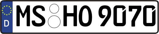 MS-HO9070