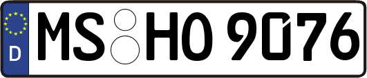 MS-HO9076