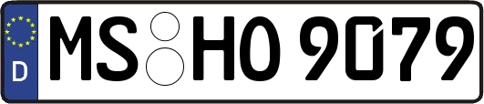 MS-HO9079