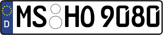 MS-HO9080