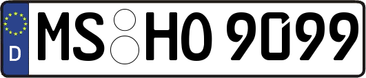 MS-HO9099