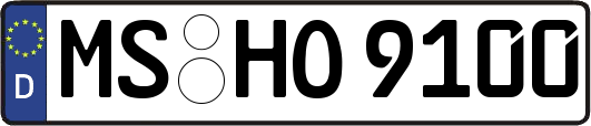 MS-HO9100