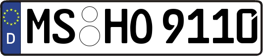 MS-HO9110