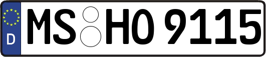 MS-HO9115