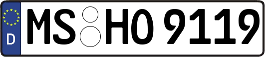 MS-HO9119