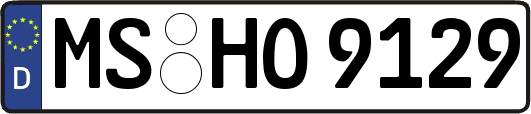 MS-HO9129